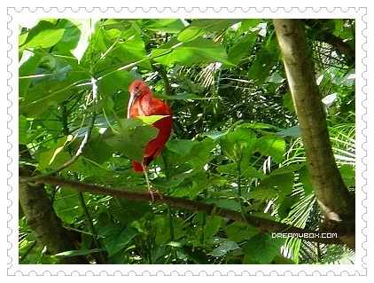 bird.jpg